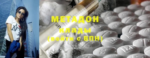 прущие грибы Вязники
