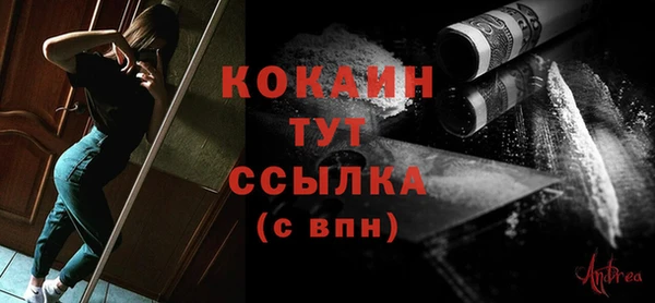 прущие грибы Вязники