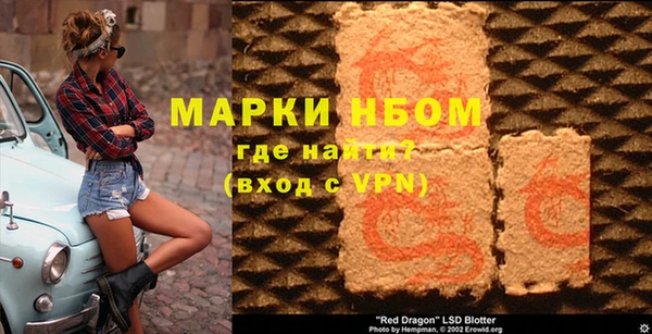 прущие грибы Вязники