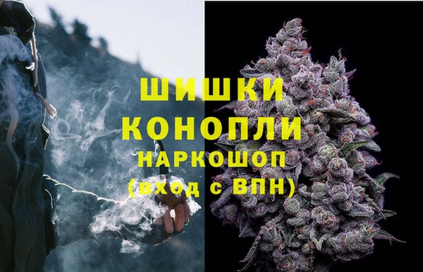 прущие грибы Вязники