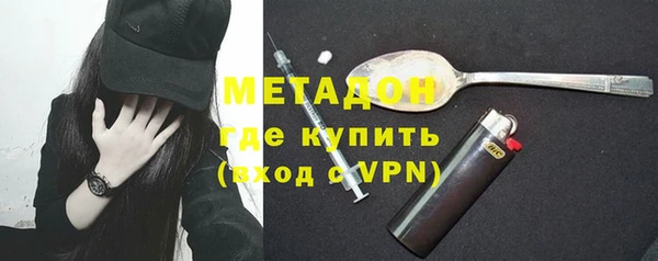 прущие грибы Вязники