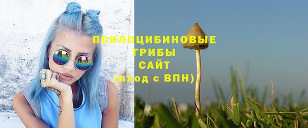 прущие грибы Вязники