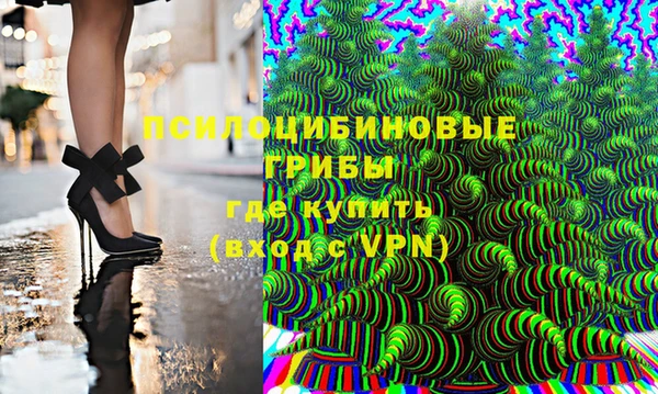 стаф Вязьма