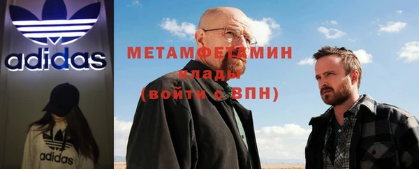 прущие грибы Вязники