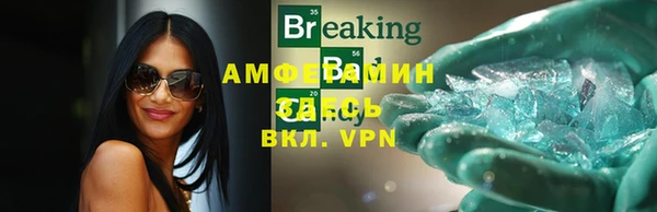 прущие грибы Вязники