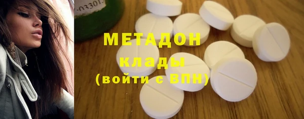 прущие грибы Вязники