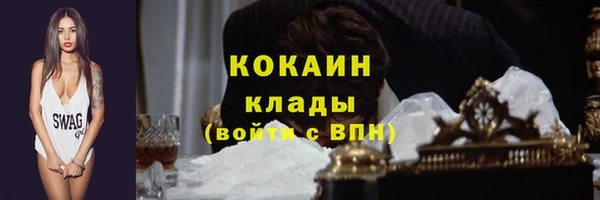 стаф Вязьма