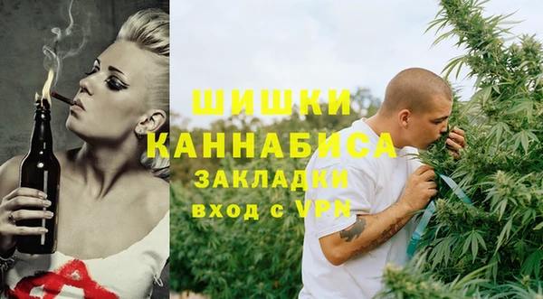 стаф Вязьма