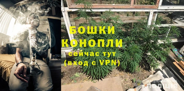 стаф Вязьма