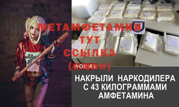 прущая мука Вяземский