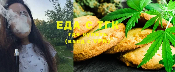стаф Вязьма