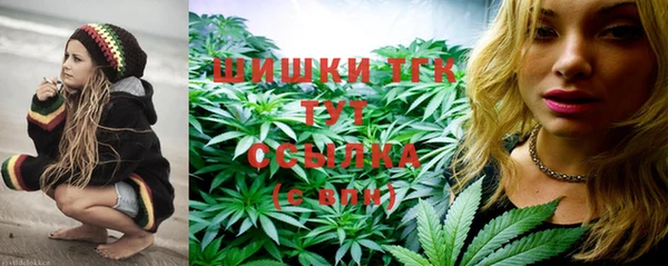 прущая мука Вяземский