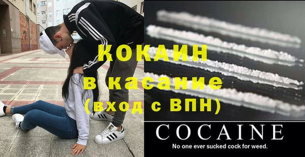 прущие грибы Вязники