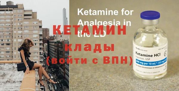 стаф Вязьма