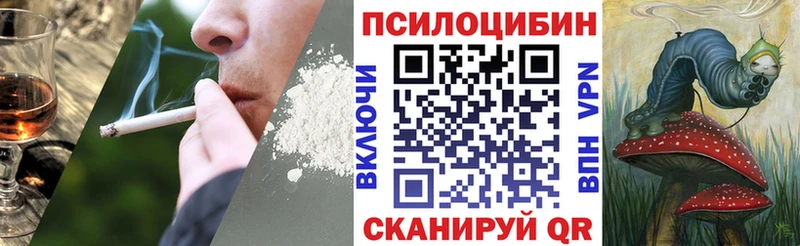 Псилоцибиновые грибы Psilocybe omg рабочий сайт Волжский